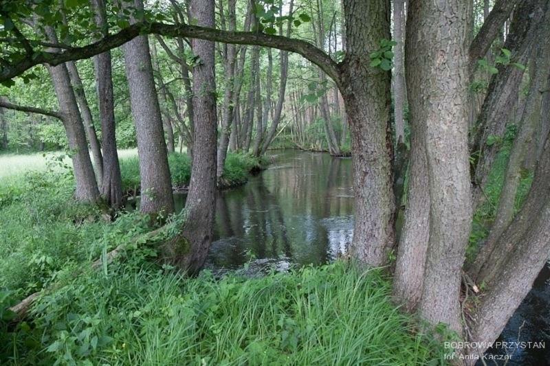 Bobrowa Przystan Villa Czechyn Dış mekan fotoğraf