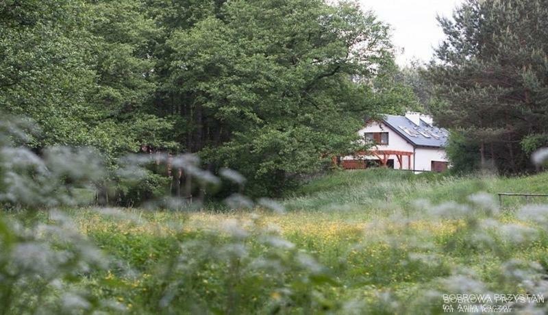 Bobrowa Przystan Villa Czechyn Dış mekan fotoğraf